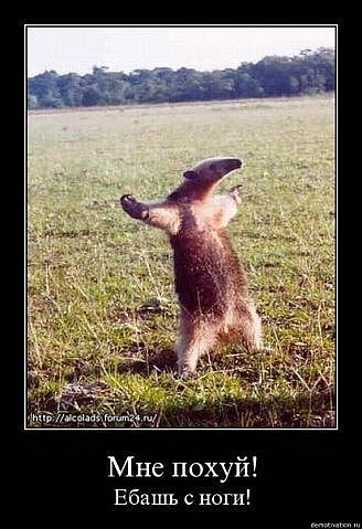 Денис Кузьмин | Gdynia