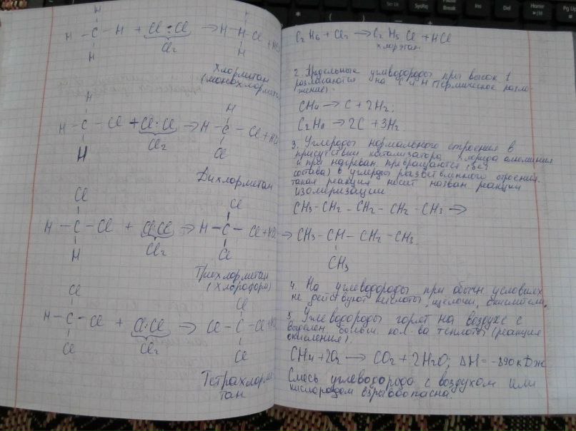 Екатерина Логинова | Уфа