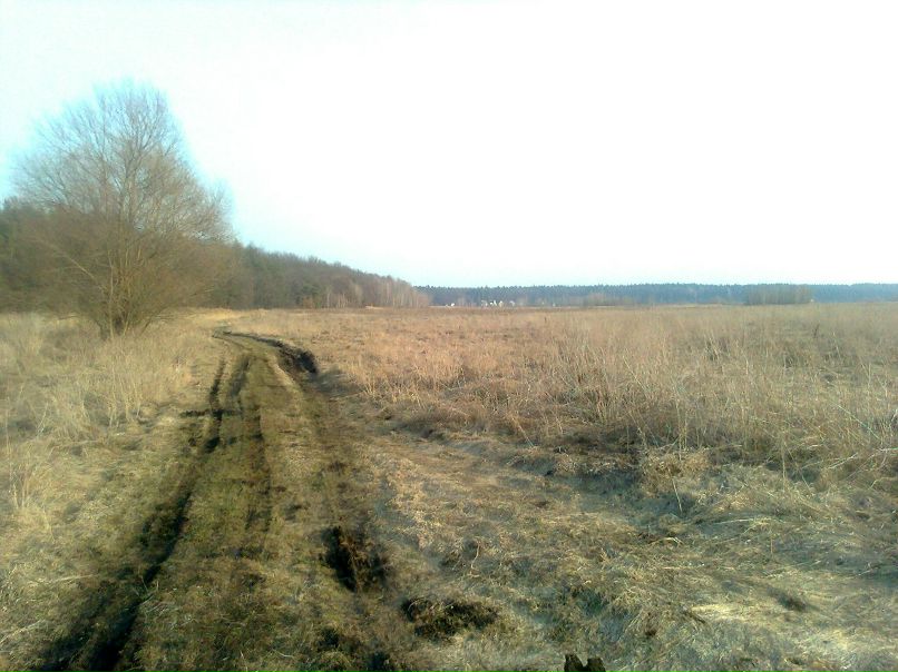 Василий Павлюк | Киев