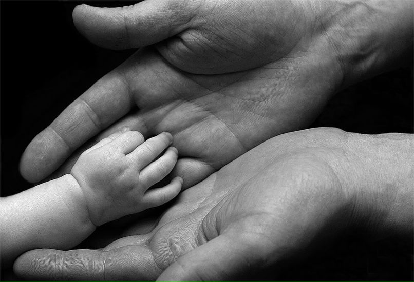 Александр Сивуха | Архангельск