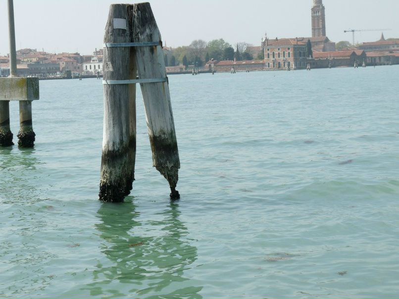 Ксюха Кузнецова | Санкт-Петербург