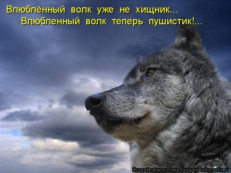 Серёга Николаев | Среднеуральск