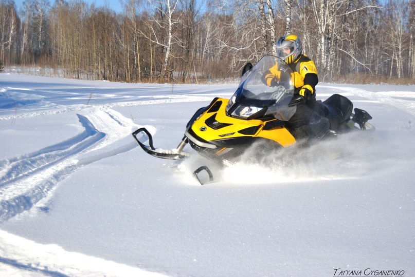 Артем Наумов | Новосибирск