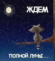 Иван Кононов | Москва