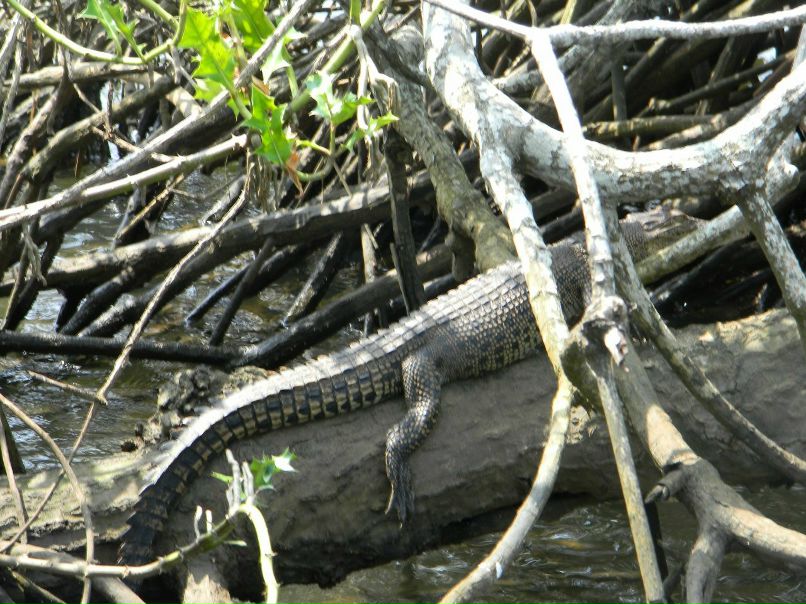 Женя Лобатий | Кривой Рог