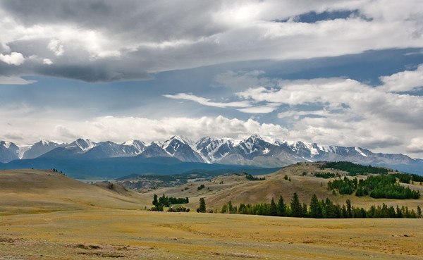Ануар Сарацин | 
