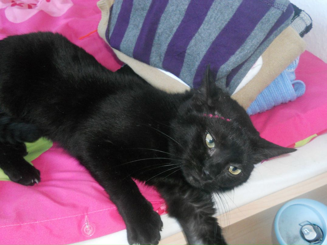 Лариса Эйдельсон -Э- | 