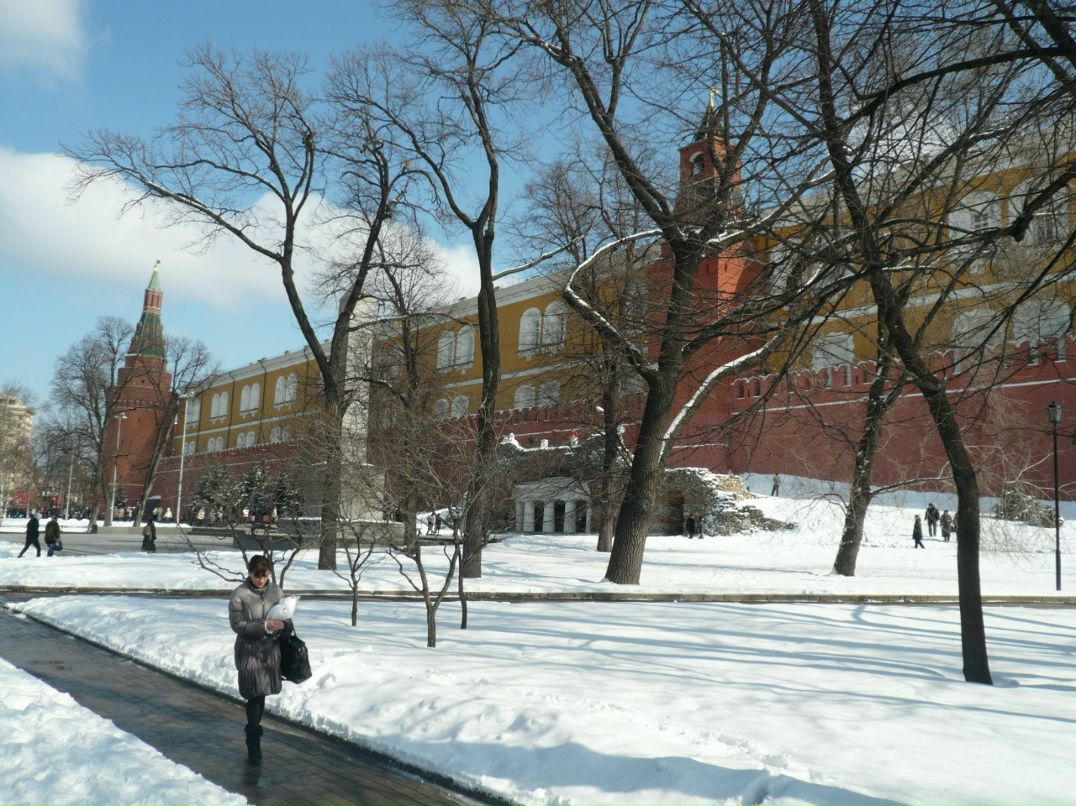 Дмитрий Коновалов | 