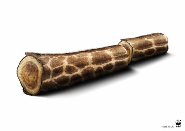 Константин Солдатов | Аша