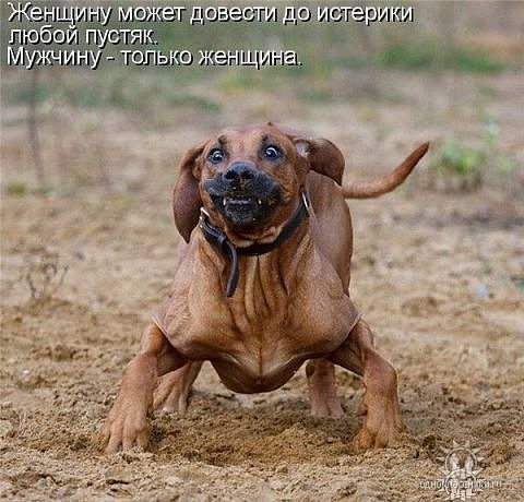 №17, Олеся Семакова, Северодвинск №17, Олеся Семакова, Северодвинск