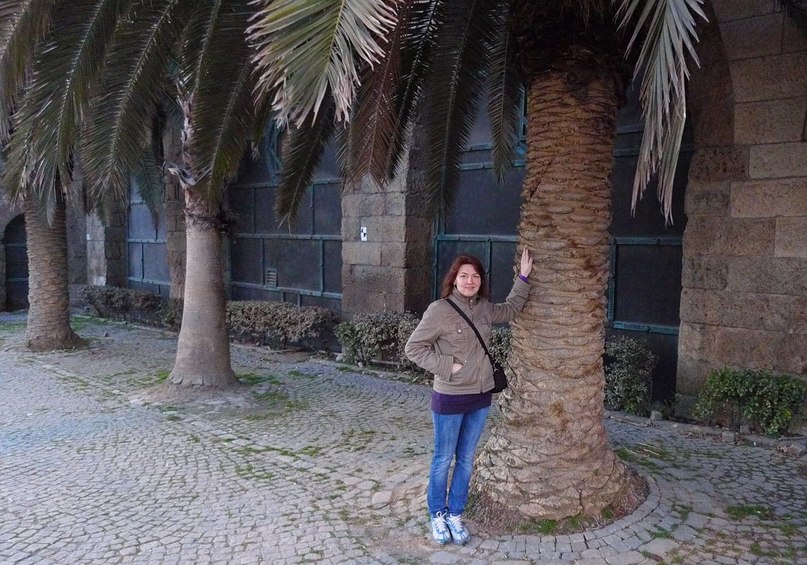 Лилия Новик | Москва