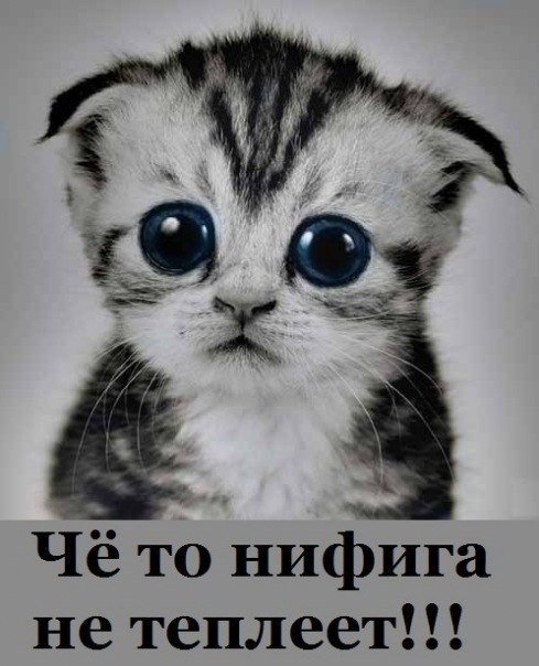 Юлия Чирко | Киев