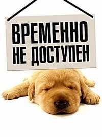 Александр Дедов | Киев