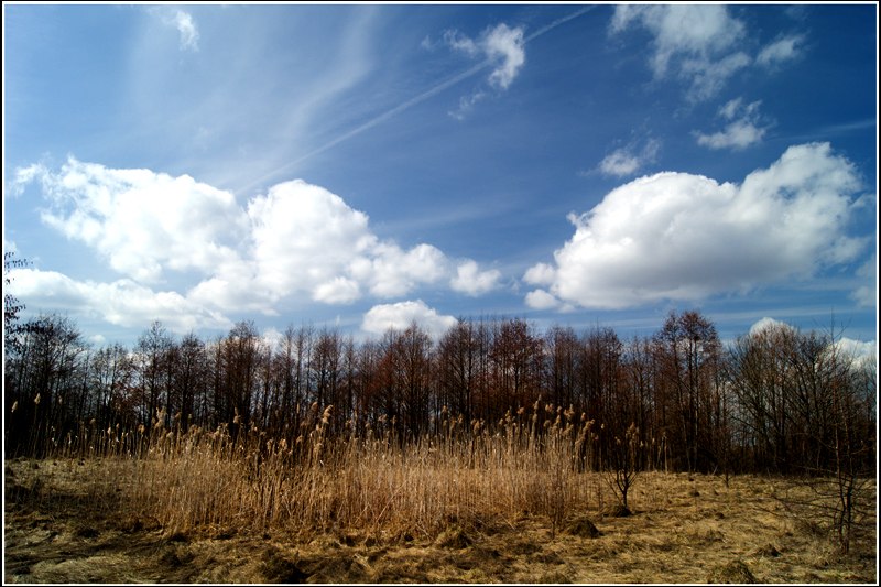 Юрий Гришков | Витебск