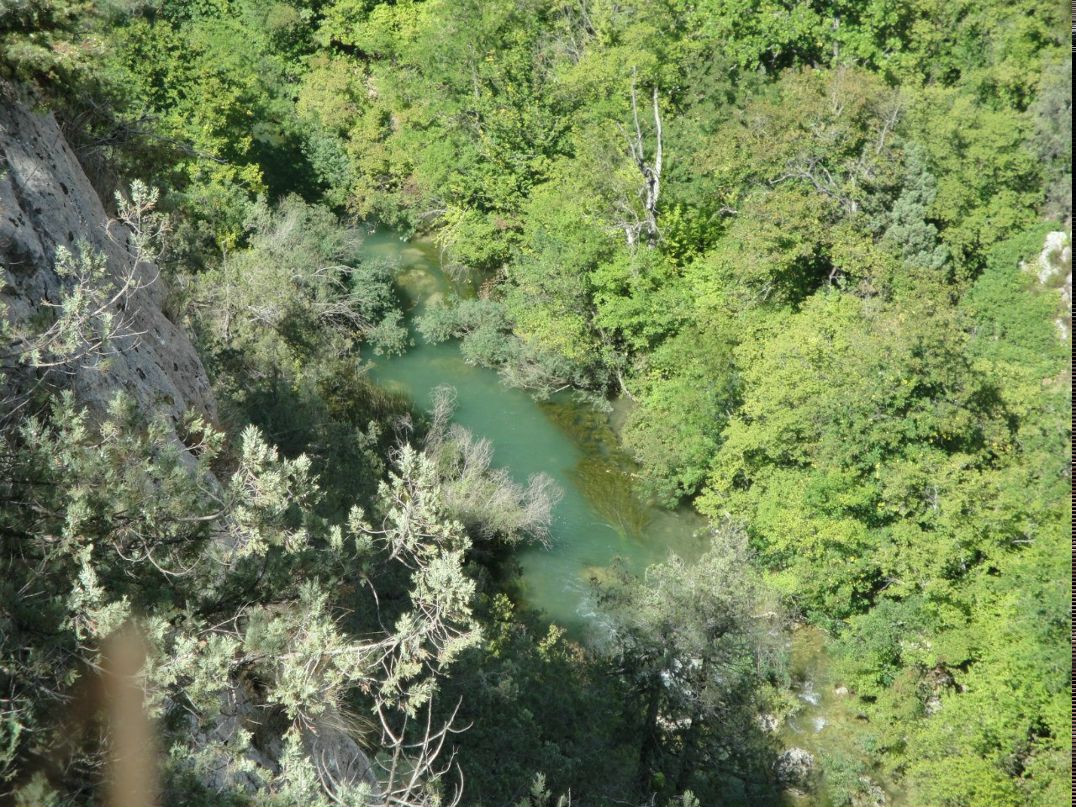 Ольга Куликовская | Череповец