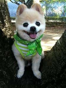 Марина Ром | 