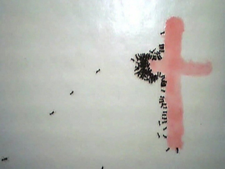 Марина Камбур | 