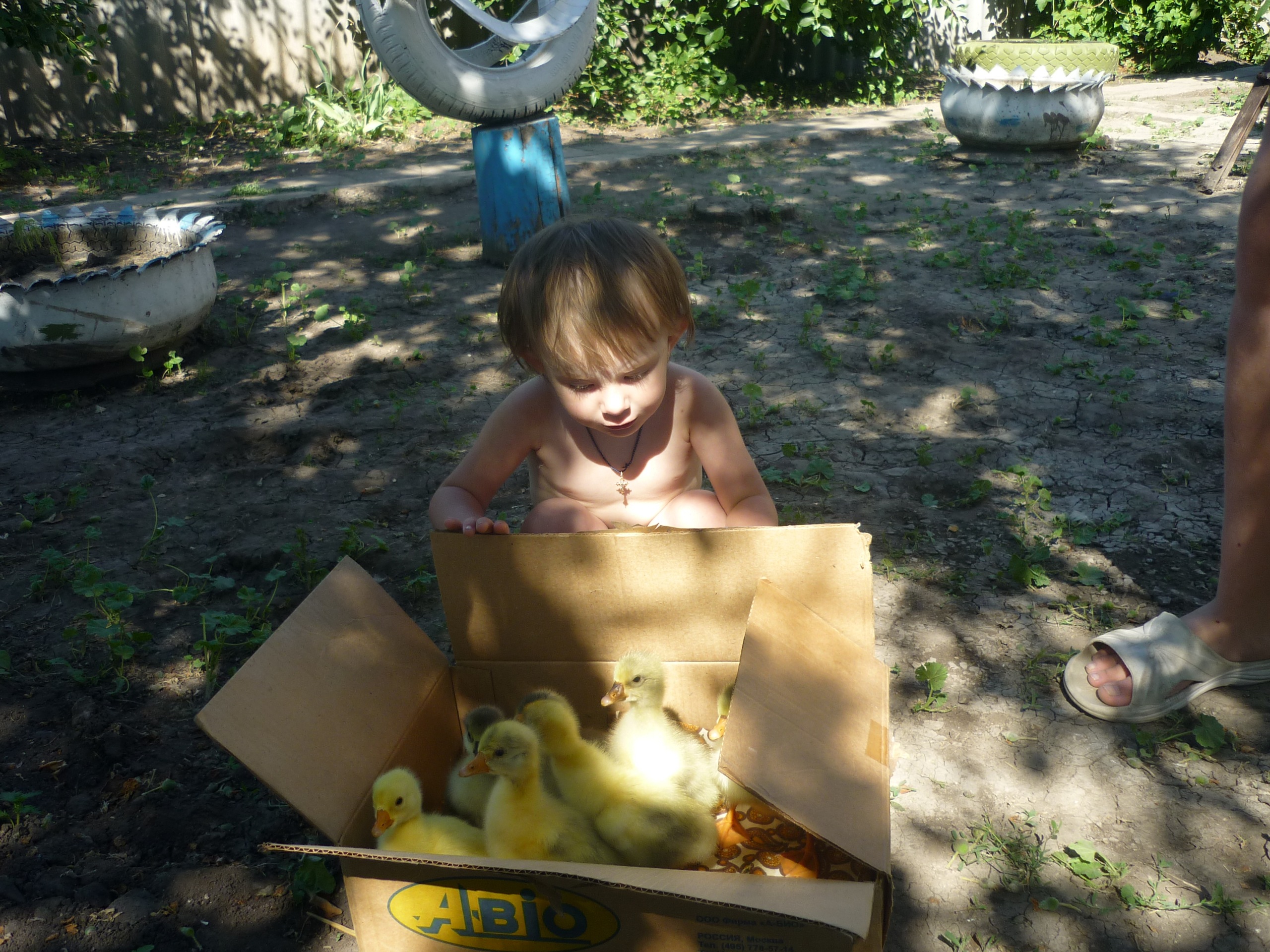 Фото профиля