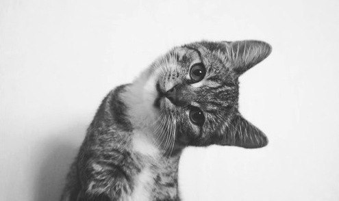 Катя Годунова ♥ | Москва