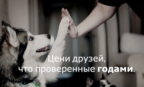 Дмитрий Ладанов | Сыктывкар