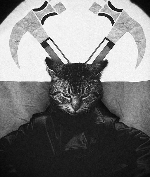 Alex Dragon | Kraków