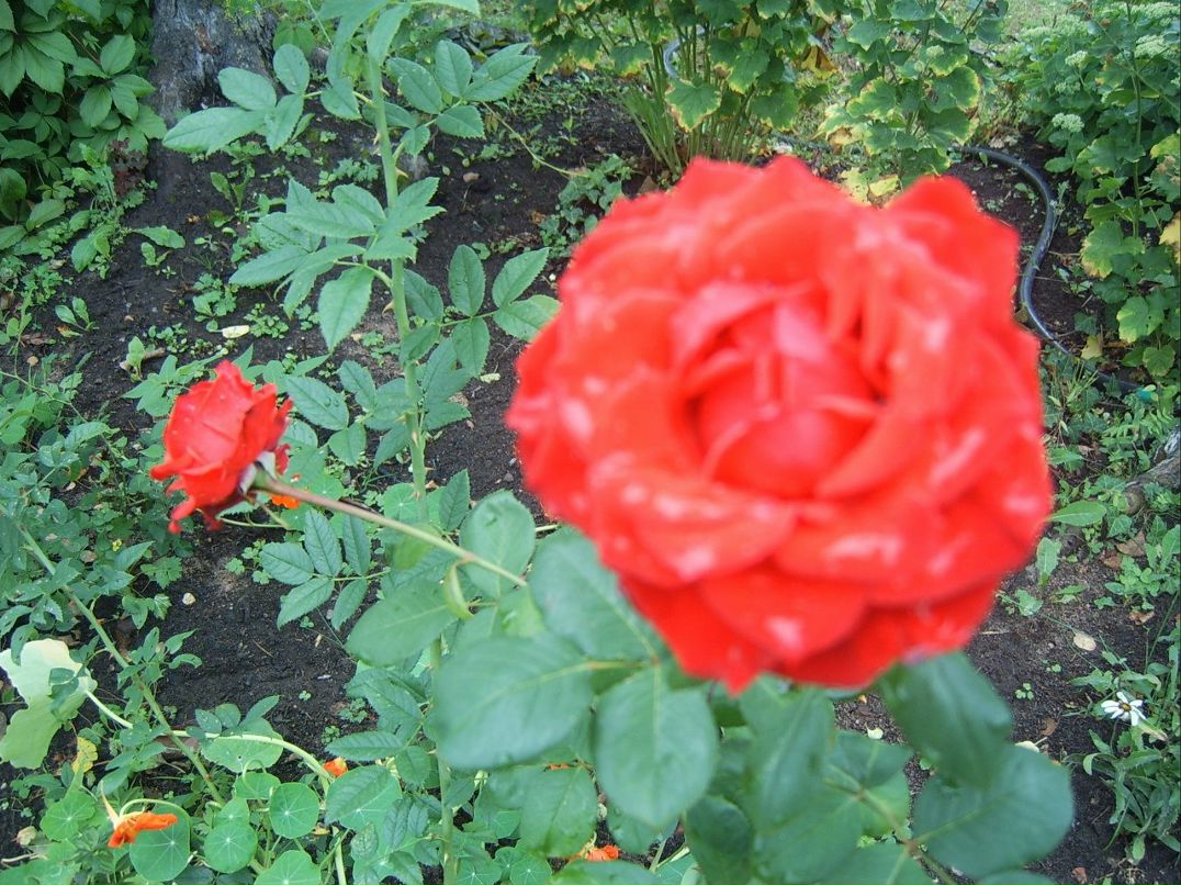 Жанна Шокун | Санкт-Петербург