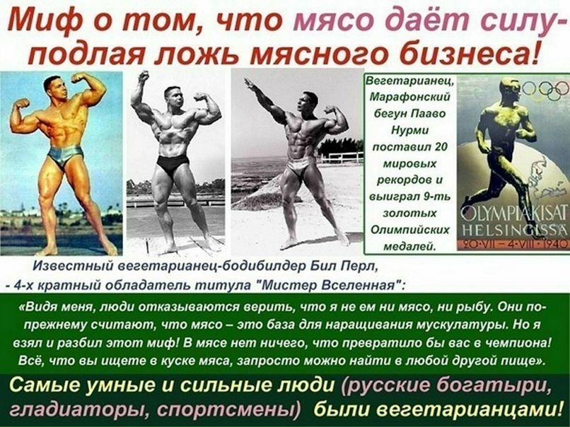 Александр Грибоедов | Санкт-Петербург