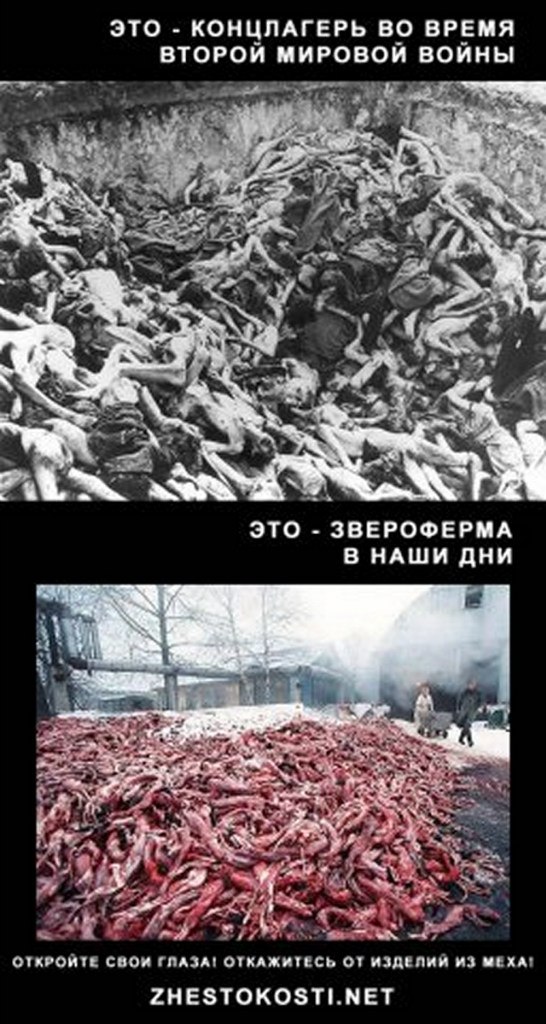 Александр Грибоедов | Санкт-Петербург