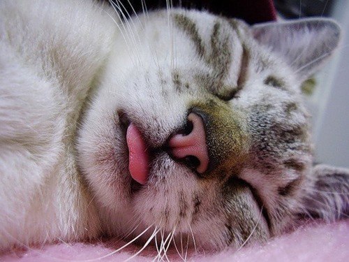 Олег Калита | Донецк