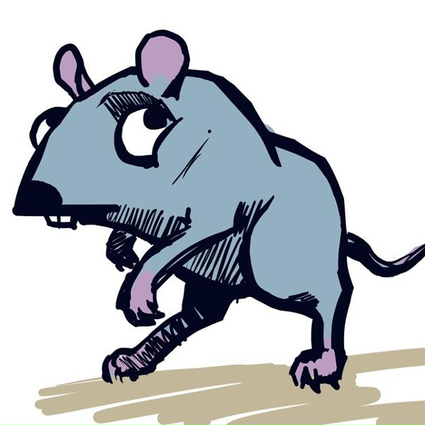 №11, Олег Анохин, Санкт-Петербург №11, Олег Анохин, Санкт-Петербург