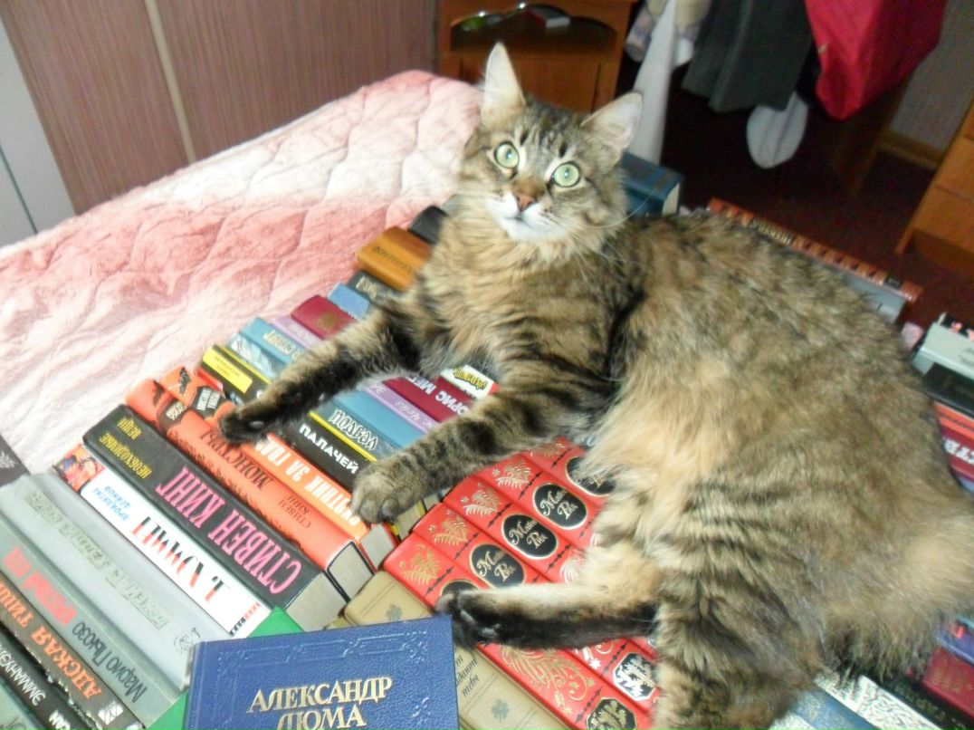 Ольга Скорикова | Углич