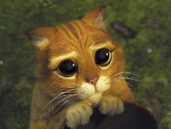 Стас Жовнірук | Киверцы