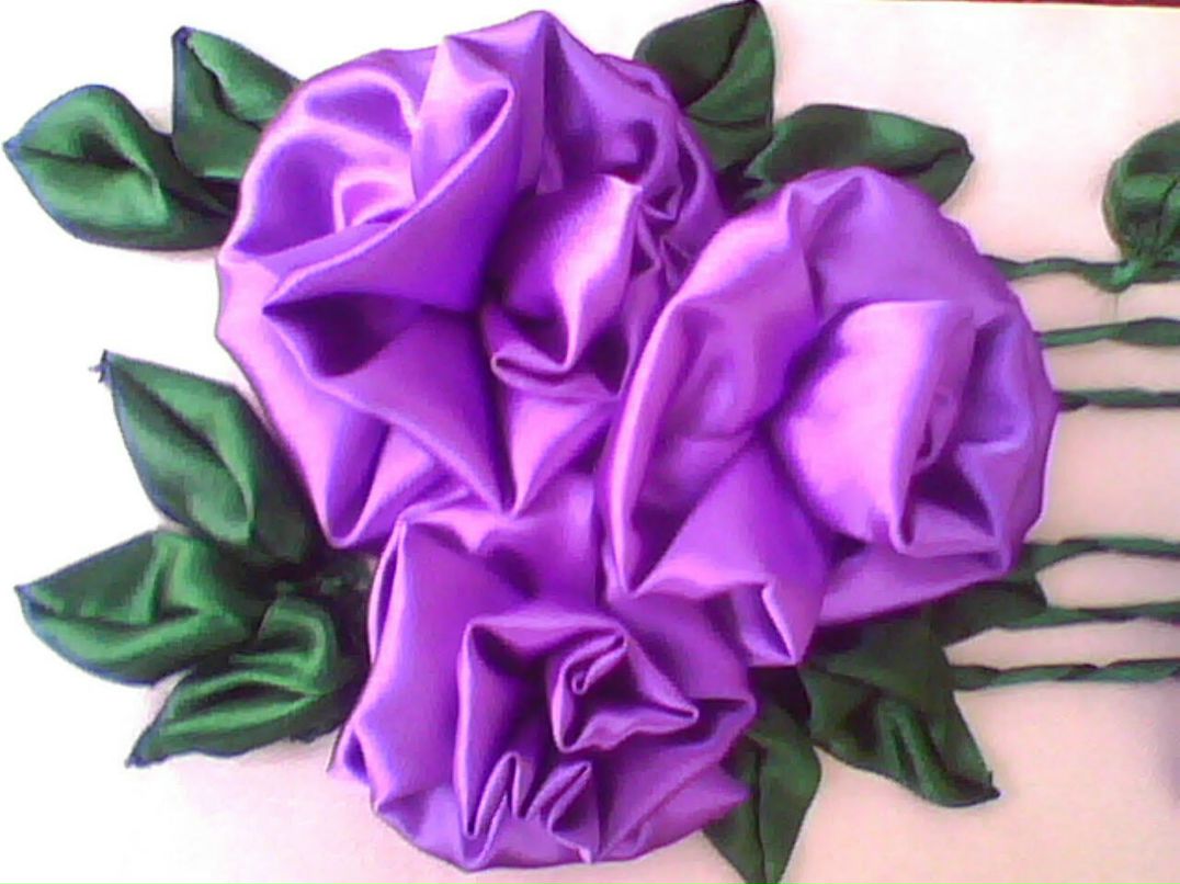 Ксюша Головко $_Кет_$ | Днепр (Днепропетровск)