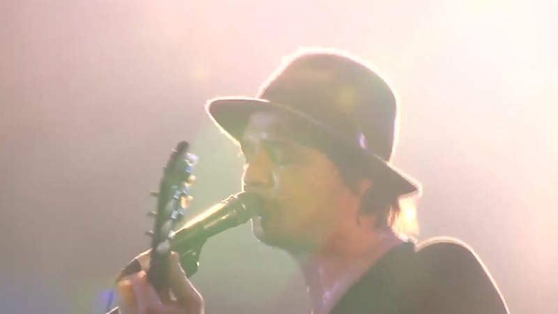 The Libertines festival Rock en Siene,