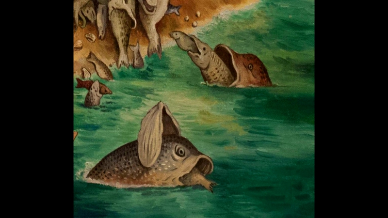 Fish eat