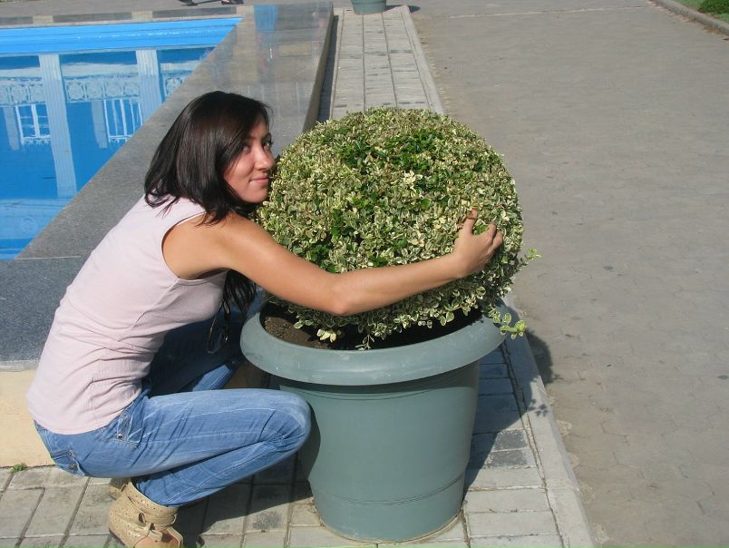 №86, Александра Салтыкова, Одесса №86, Александра Салтыкова, Одесса