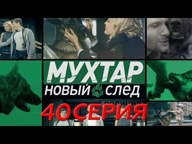 "Мухтар. Новый след". 40 серия. "Кирпичи"