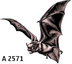 №14, Миша Дудкевич, 36 лет, Одесса №14, Миша Дудкевич, 36 лет, Одесса