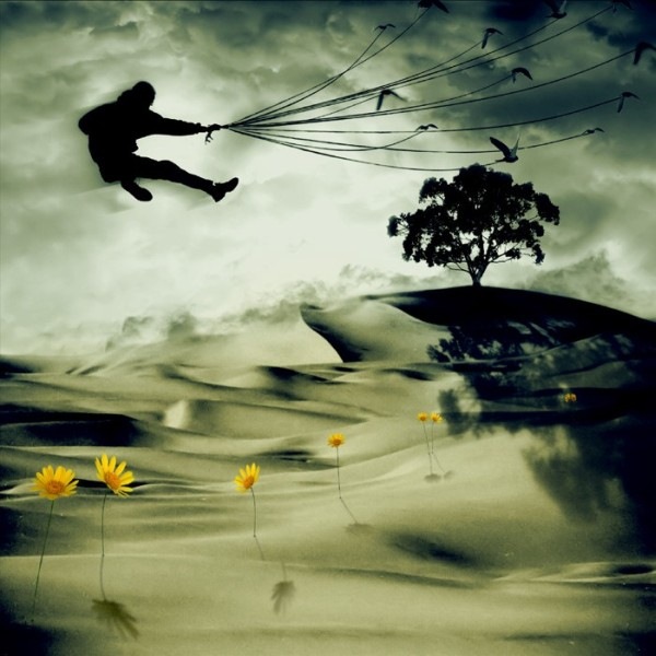 №29, Дэн Бочковский, Черновцы №29, Дэн Бочковский, Черновцы