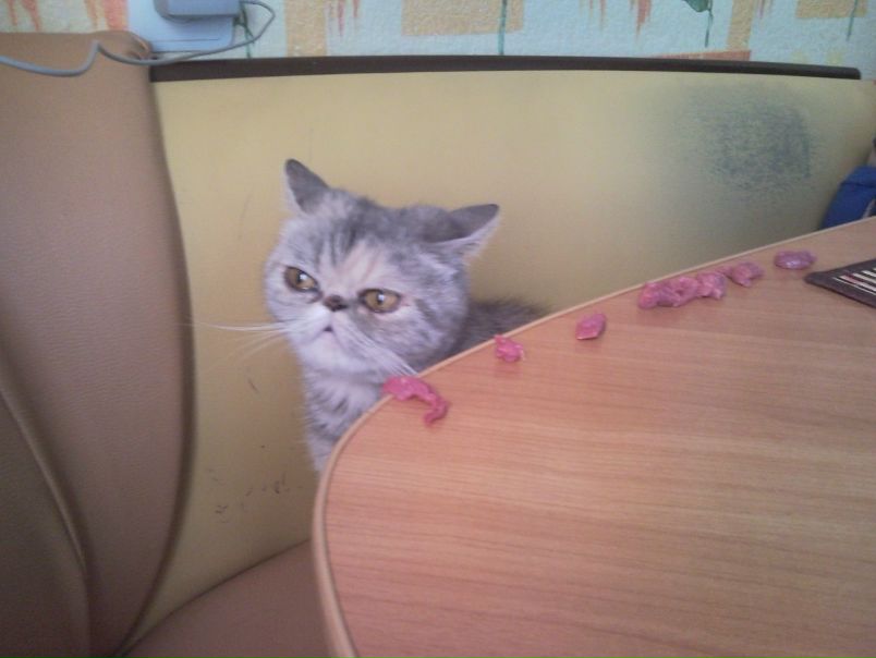 №51, Ольга Шошина, Тутаев №51, Ольга Шошина, Тутаев