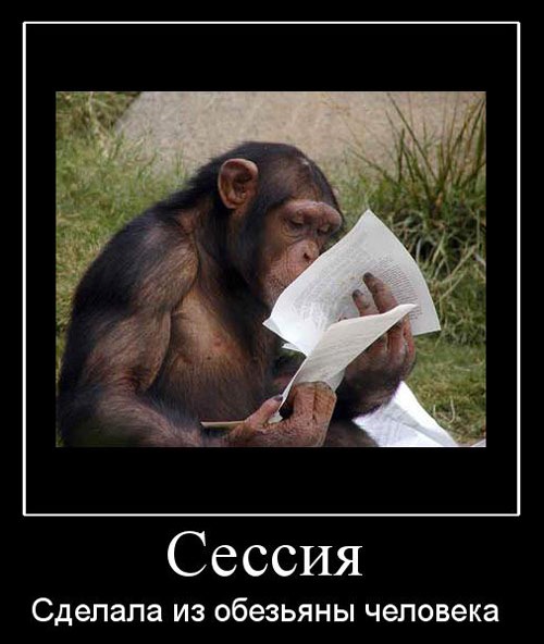 №18, Ольга Степанова, 34 года, Черняховск №18, Ольга Степанова, 34 года, Черняховск