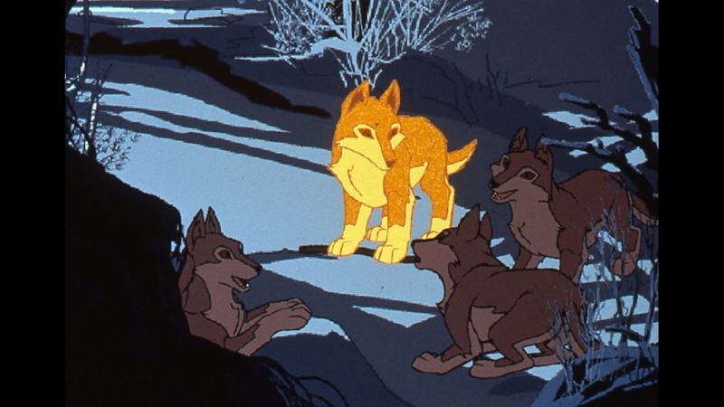 Глаз волка, Волчий глаз, Loeil du Loup (1998) Hoël Caouissin, Даниэль