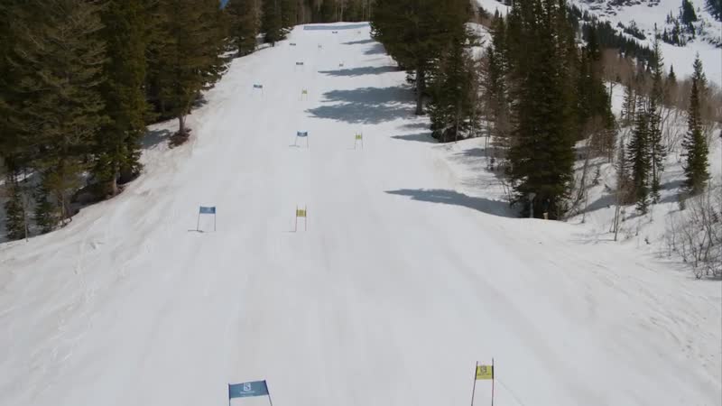 Skier vs