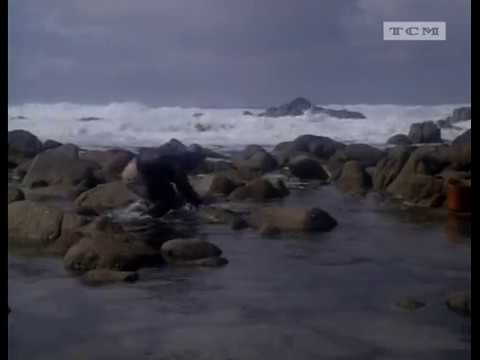 Консервный ряд (1982), Сannery