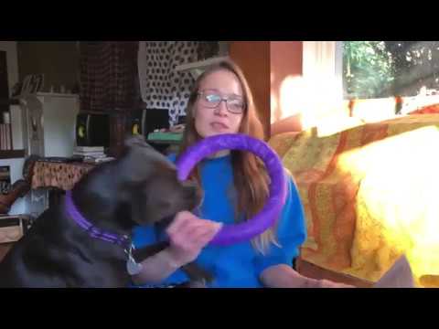Fiona answers your questions part