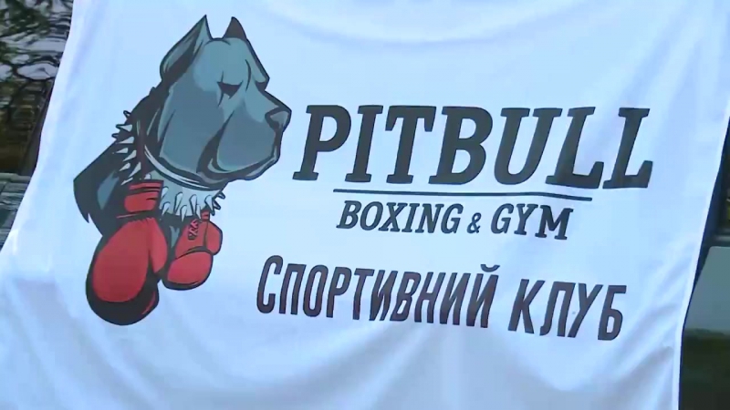 Pitbull Boxing GYM