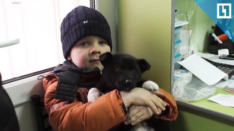 Шестилетний мальчик спас 100 собак и