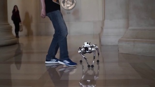 AP KA DOST-114, MIT’S new Mini Cheetah Robot “four-legged robot do a backflip“ / GRIFEO