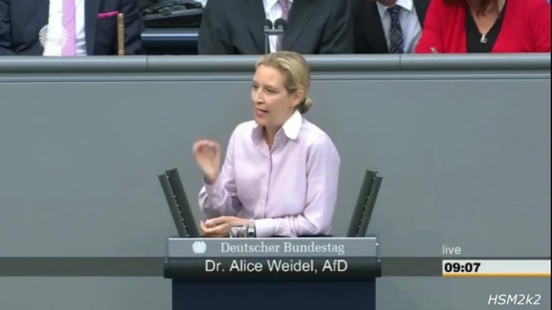 Dieses Land wird von Idioten regiert Af D Dr. Alice Weidel