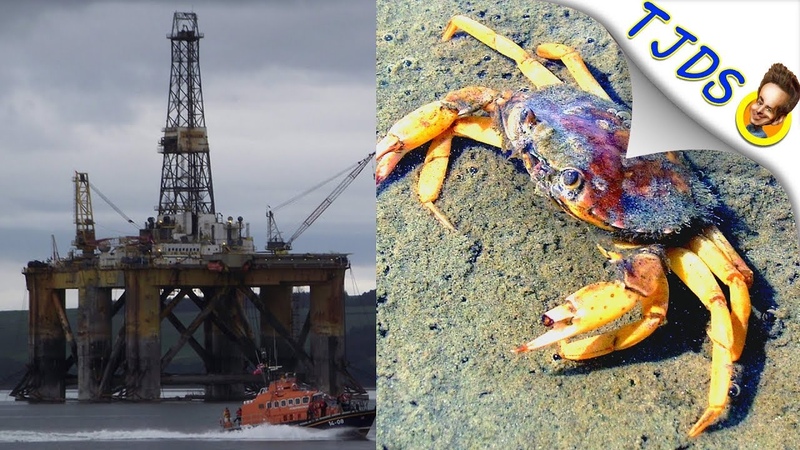 Fishermen Sue Oil Companies Over Climate